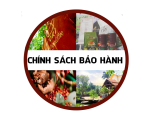 CHÍNH SÁCH BẢO HÀNH